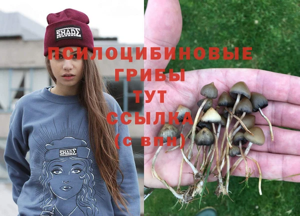 ГАЛЛЮЦИНОГЕННЫЕ ГРИБЫ Аркадак