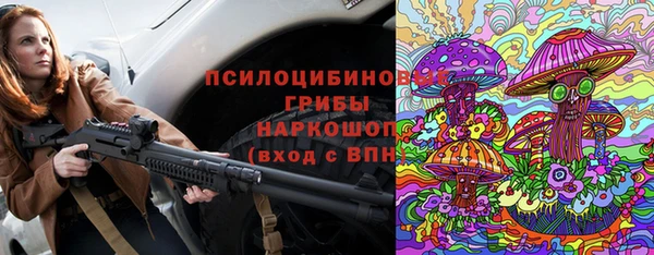 ГАЛЛЮЦИНОГЕННЫЕ ГРИБЫ Аркадак