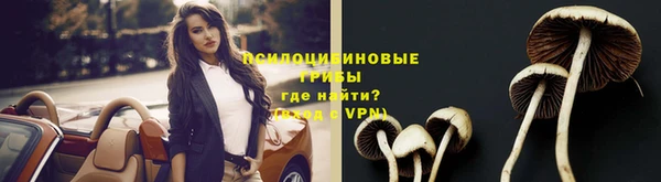ГАЛЛЮЦИНОГЕННЫЕ ГРИБЫ Аркадак