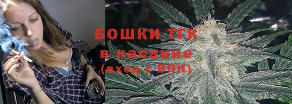 ГАЛЛЮЦИНОГЕННЫЕ ГРИБЫ Аркадак